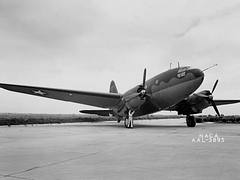 ARC-1943-AAL-3895