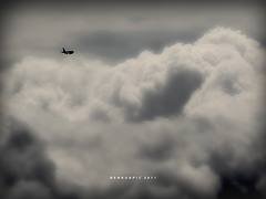 B732 (6428851425)