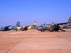 8026 1995-10-00 FAWK 442 crrot shd25 her cr 1200x729
