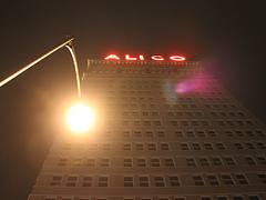 Alico