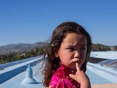 Serena Ponders