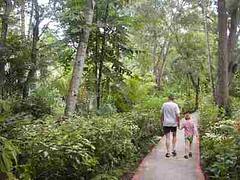 Casuarina Garden
