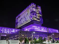 Cleveland Clinic Abu Dhabi 2