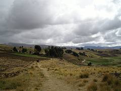 Ayacucho 2008
