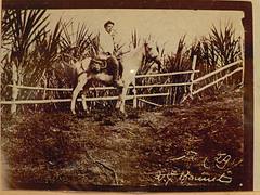 Tomb of French painter Paul Gauguin on Hiva Oa island in the Marquesas French Polynesia ?
