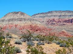 Virgin River Gorge, St. George, UT 5-14