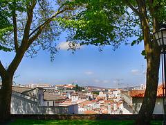 007456 - Braganza
