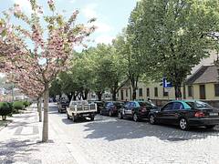 007472 - Braganza