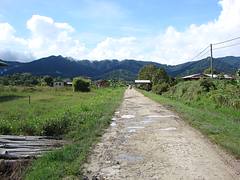 Bario Bario
