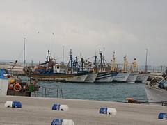 Al Hoceima