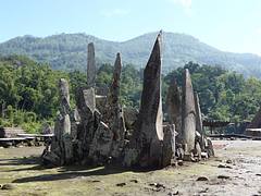 Flores: Bajawa to Riung