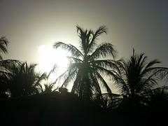 Fim de tarde Fim de tarde