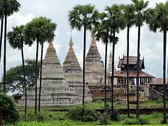 Bagan Temples under Palm Trees Bagan Temples under Palm Trees