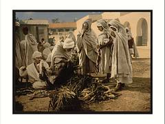 Market Biskra Algeria