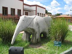Roráima - Tamanduá