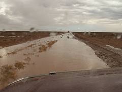 On the Birdsville track III