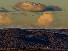 Wind Farm from a distant Black Mountain