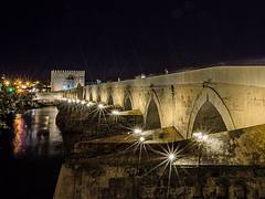 Reto Paisaje Nocturno - Puente Romano Córdoba RI-51-0000524 Reto Paisaje Nocturno - Puente Romano Córdoba RI-51-0000524