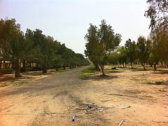 Path