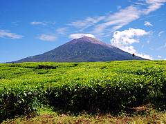 View@Kayuaro View@Kayuaro