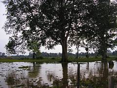 P2280612 P2280612
