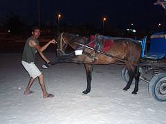 Djerba 2008