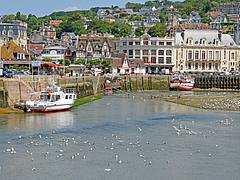 France-000641 - Port of Trouville-sur-Mer