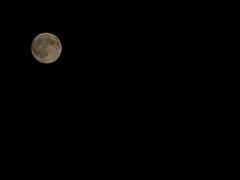 Moon_Dammam