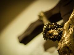 "Those things which are precious are saved only by sacrifice. " - David Webster