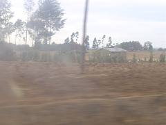 DSC08396