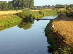 Die Ems im Münsterland