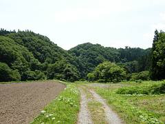 Country Roads Country Roads