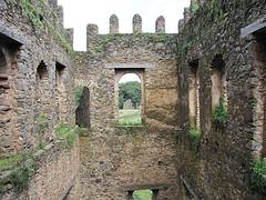 Gondar (25)