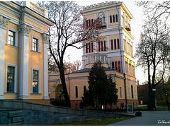 Дворец Румянцевых - Паскевичей / Gomel Palace