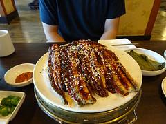 Eel Jinju Korea