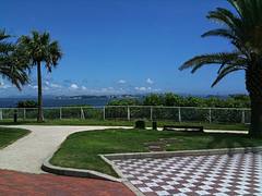 IMG_0008 IMG_0008