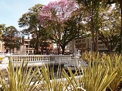 Parque Bolívar - Ibagué Parque Bolívar - Ibagué