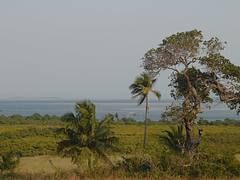 Inhambane gulf