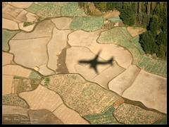 Jammu Flight