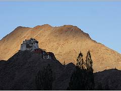 lights from heaven, leh