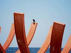 Izmir