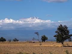 Mount Kilimanjaro Landscape