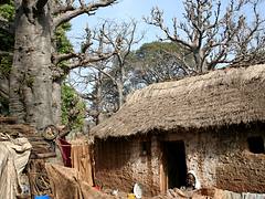 Old Birnin Gwari