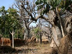Old Birnin Gwari