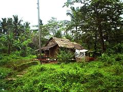 Nipa Hut