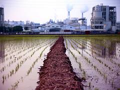 高雄仁武 稻田 工廠 Kaohsiung 高雄仁武 稻田 工廠 Kaohsiung
