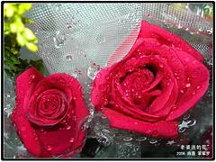 DSCN1882