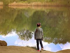 pond