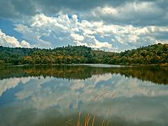 Batam's Reflection