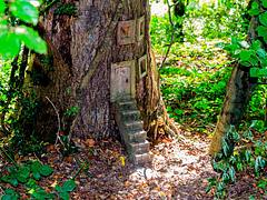 Doormouse Cottage